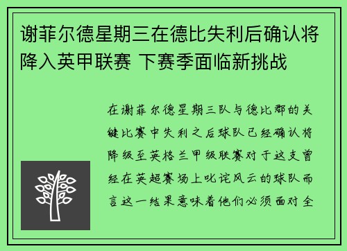 谢菲尔德星期三在德比失利后确认将降入英甲联赛 下赛季面临新挑战